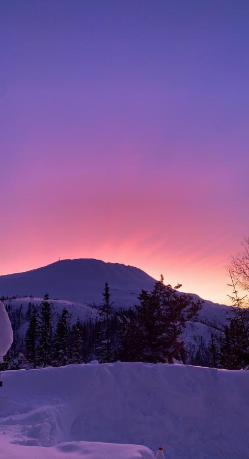 Gaustablikk Sportshytte Midt I Naturen Rjukan Exterior foto
